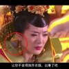 word2016电脑版免费下载